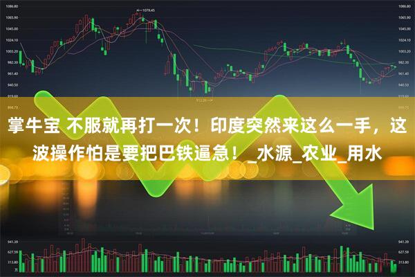 掌牛宝 不服就再打一次！印度突然来这么一手，这波操作怕是要把巴铁逼急！_水源_农业_用水