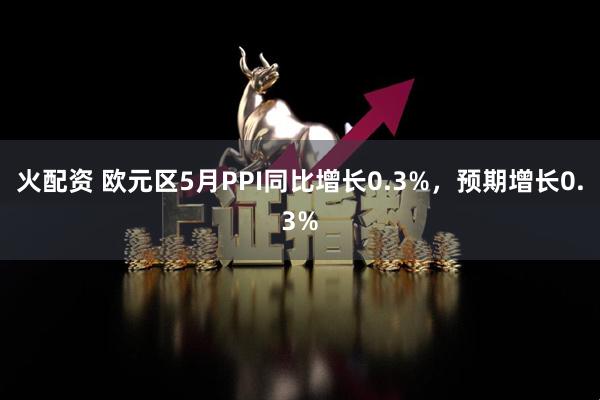 火配资 欧元区5月PPI同比增长0.3%，预期增长0.3%