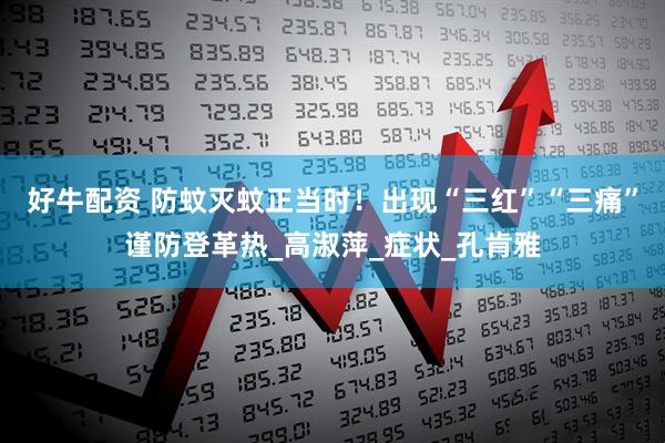 好牛配资 防蚊灭蚊正当时！出现“三红”“三痛”谨防登革热_高淑萍_症状_孔肯雅