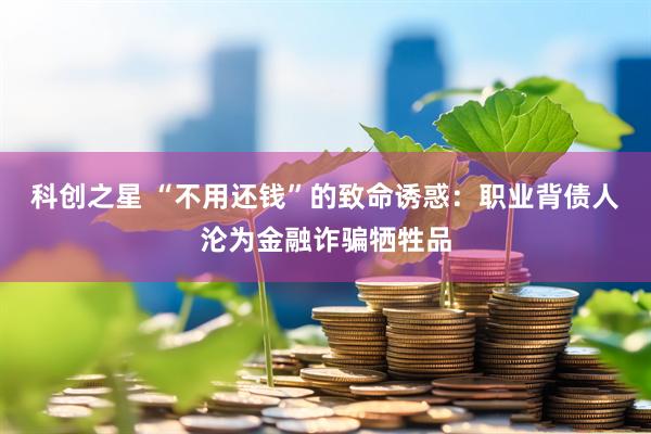 科创之星 “不用还钱”的致命诱惑：职业背债人沦为金融诈骗牺牲品