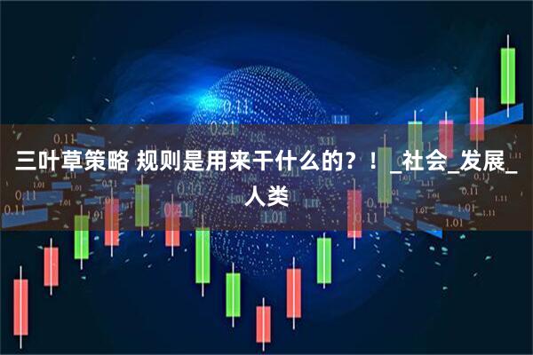 三叶草策略 规则是用来干什么的？！_社会_发展_人类